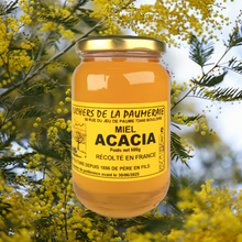 Charger l'image dans la galerie, Miel d'Acacia 500g