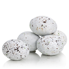 Charger l'image dans la galerie, Sachets d’Œufs de mouette